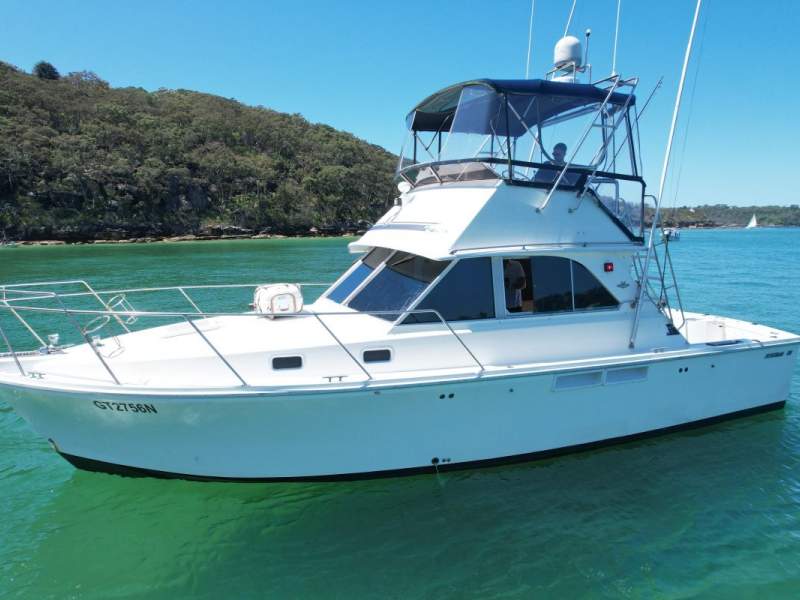 Bertram 35 Flybridge
