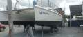 Simpson 10.5 Sail Catamaran Simpson 10.5