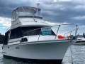 Mariner 31 Flybridge
