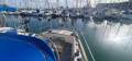 Tradewinds 35