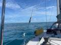 Holland 44 Swan Hull Shape Built by Kanga Birtles in Australia