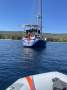 Holland 44 Swan Hull Shape Built by Kanga Birtles in Australia