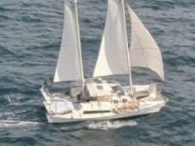 Wharram Tiki 31