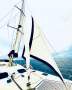 Atkinson 15 Blue Water Catamaran