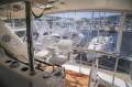 Riviera 48 Enclosed Flybridge IMMACULATE HUGE PRICE REDUCTION