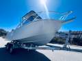 Ace Craft Marine 5.5 Sports Runabout