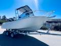 Ace Craft Marine 5.5 Sports Runabout