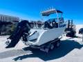 Ace Craft Marine 5.5 Sports Runabout