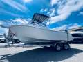 Ace Craft Marine 5.5 Sports Runabout