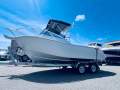 Ace Craft Marine 5.5 Sports Runabout