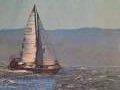 Lidgard 37