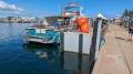11m Steel Pontoons perfect for finger jetty.