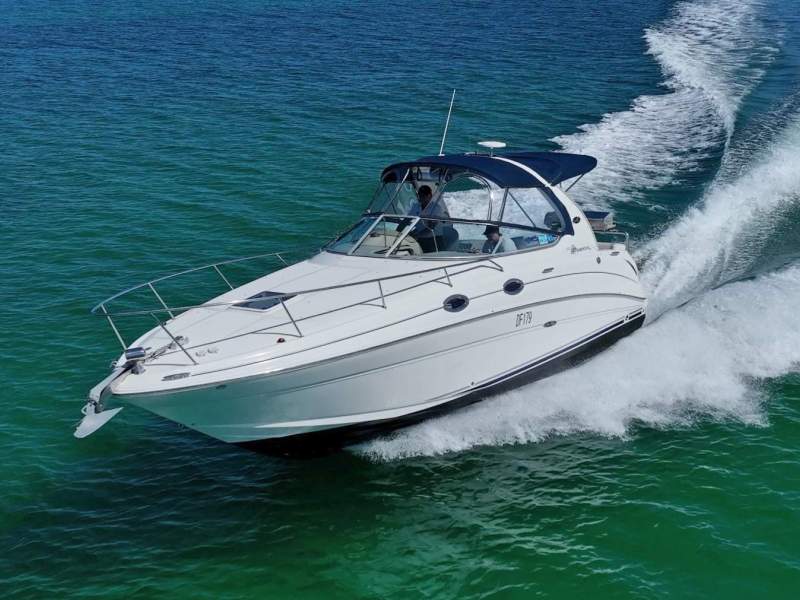 Sea Ray 315