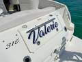 Sea Ray 315 Sundancer Includes genset, aircon, dinghy and outboard:Storage boot