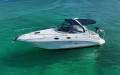 Sea Ray 315 Sundancer Includes genset, aircon, dinghy and outboard