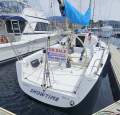 Sydney Yachts 36CR "Showtime"