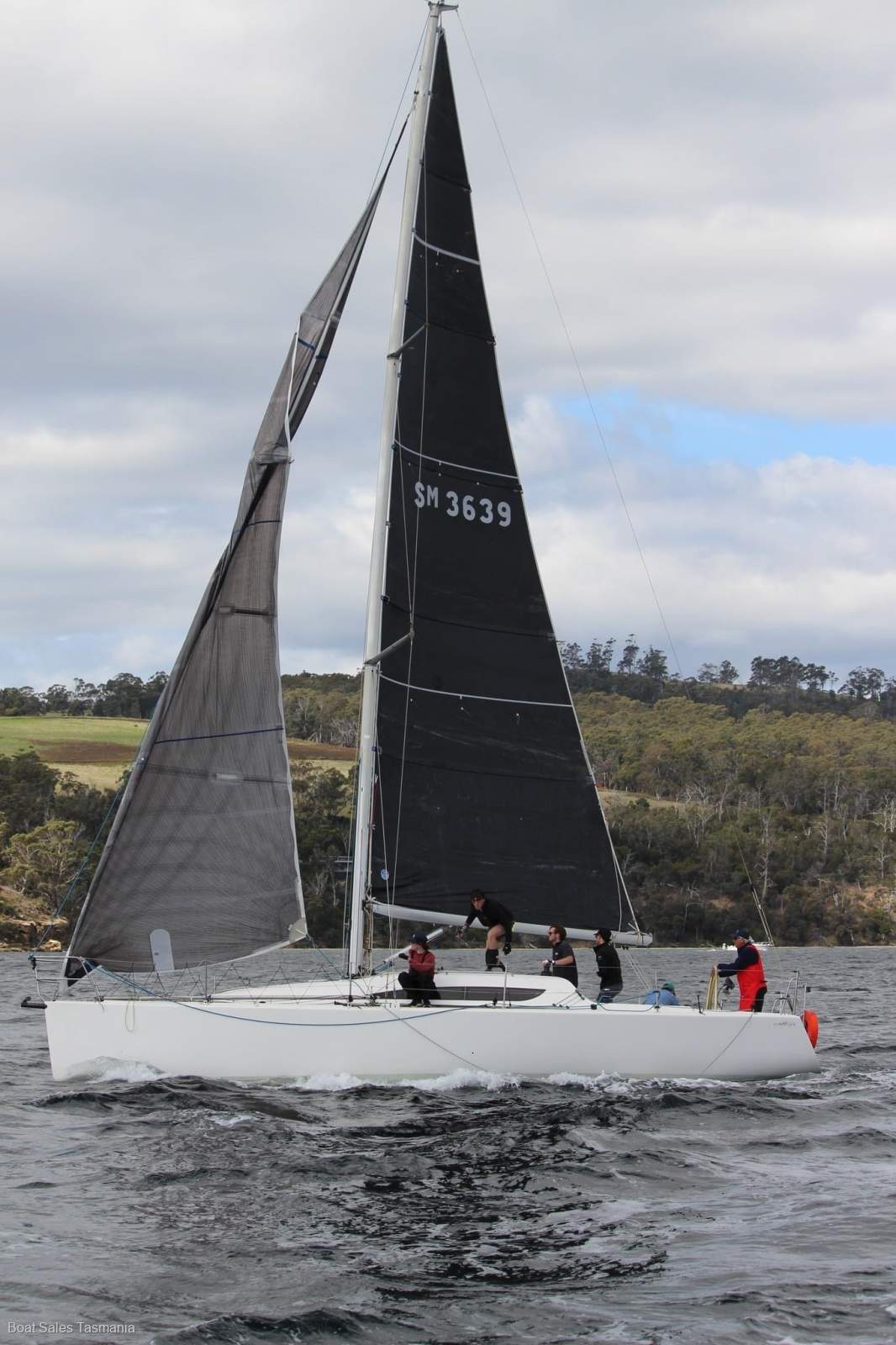 Sydney Yachts 36CR Showtime