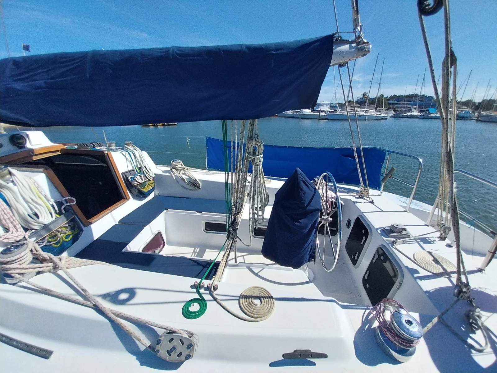 Whitting racer/cruiser