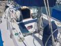Whitting racer/cruiser