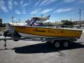 Seeker 6.0m Reef Raider Mercruiser 4.3L Mpi motor 300Hrs old