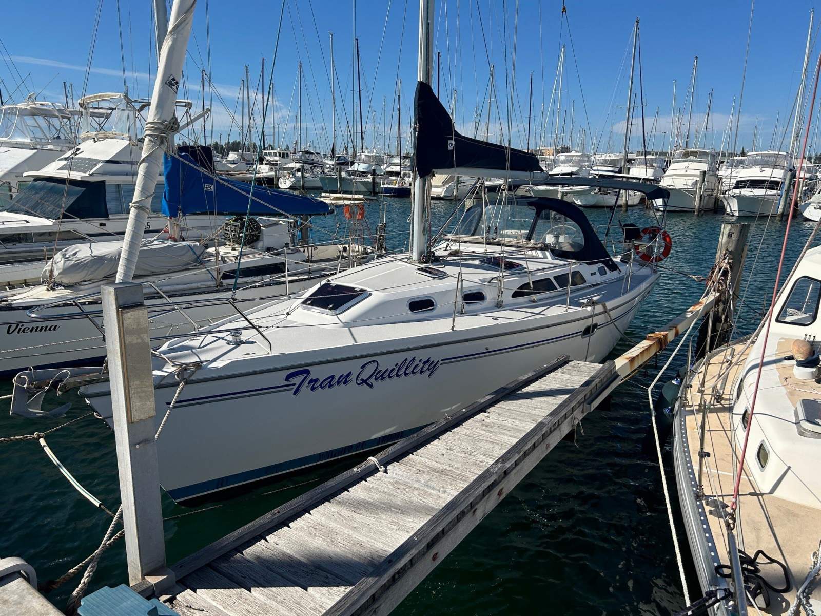 Catalina 350