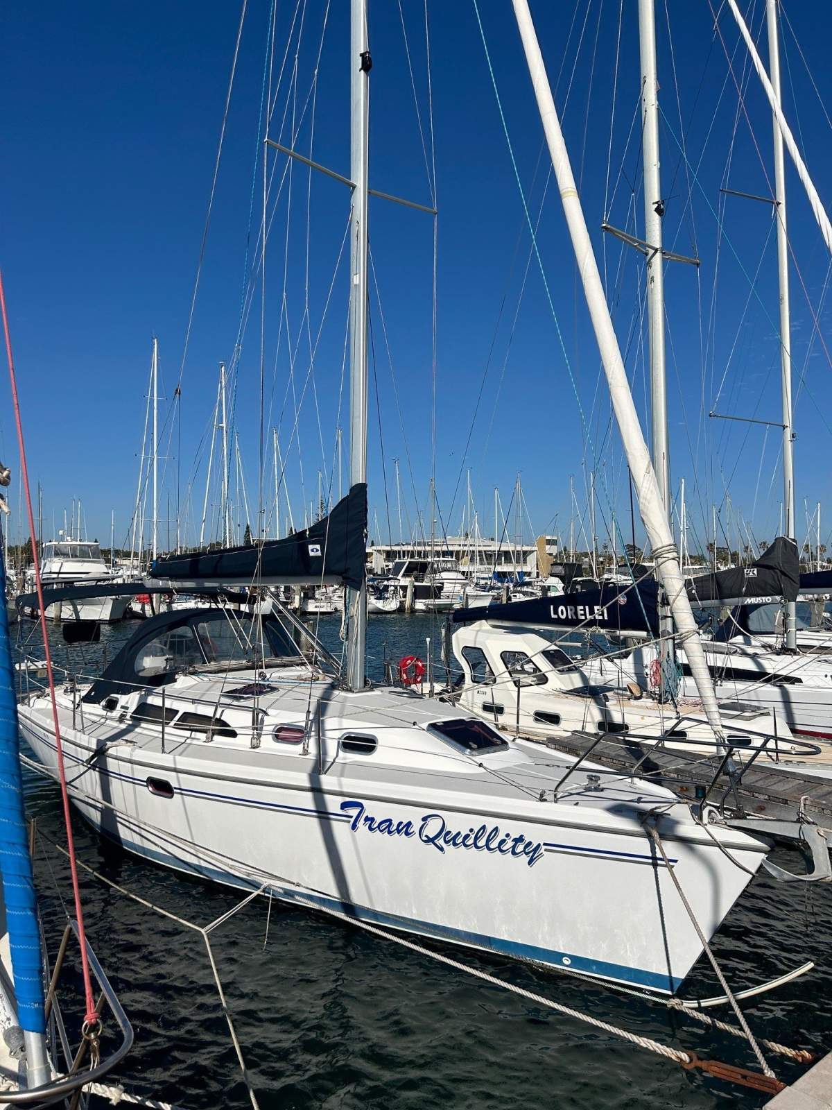 Catalina 350