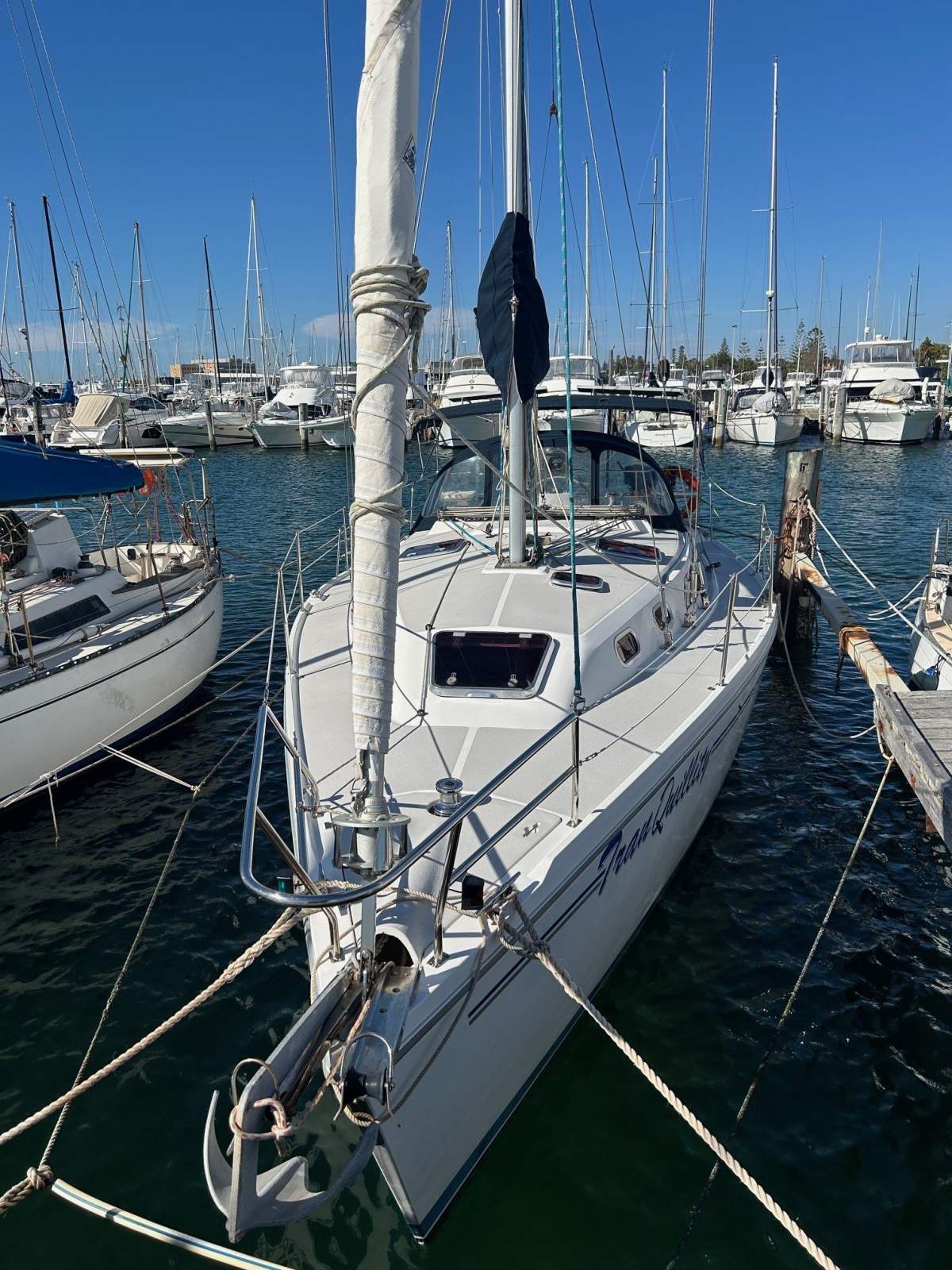 Catalina 350