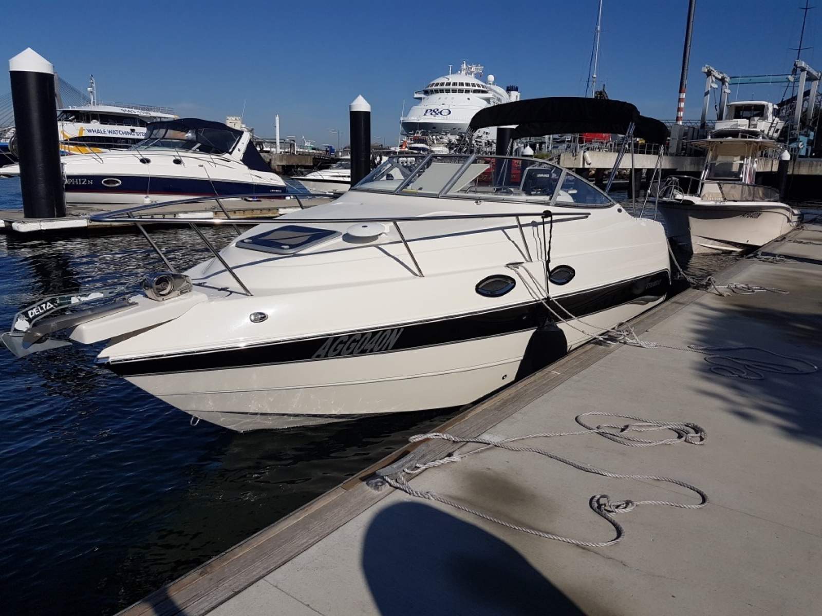 Stingray 240CS