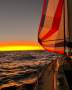 Northshore 38