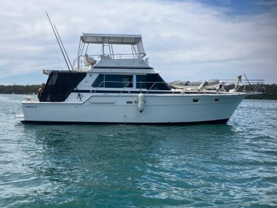 Bertram 42 Flybridge