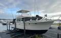 Bertram 42 Flybridge