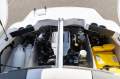 Sea Ray 185 Sport