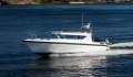 Delta Powerboats 290 SW