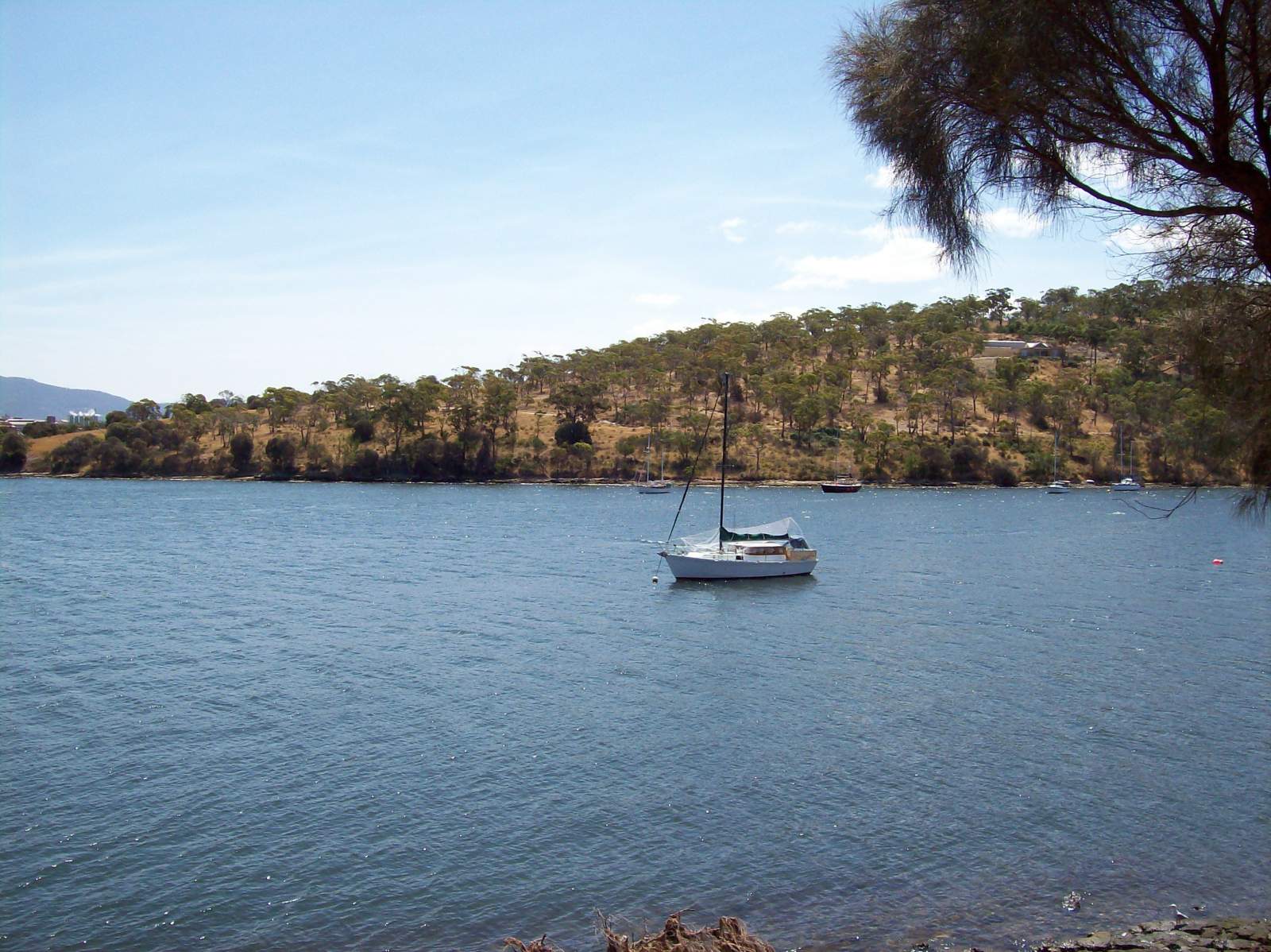 Swing mooring southern side outer geilston bay 9187