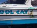 Noosa Cat 4200