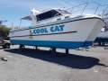 Noosa Cat 4200