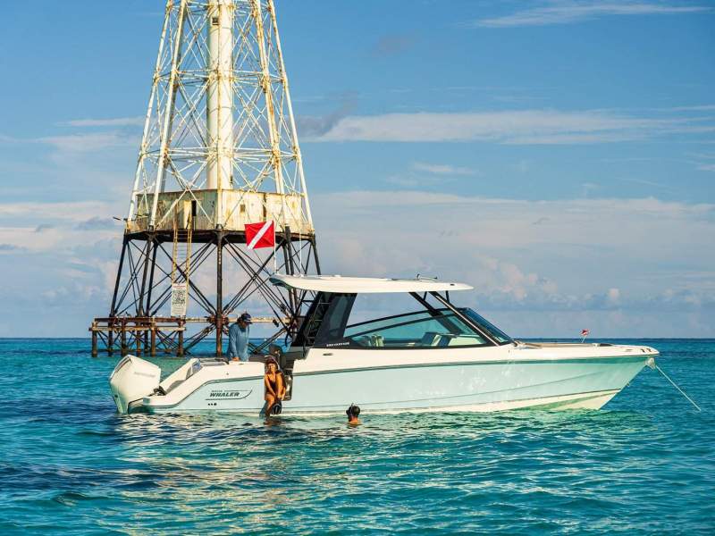 Boston Whaler 330 Vantage Dual Console Bowrider