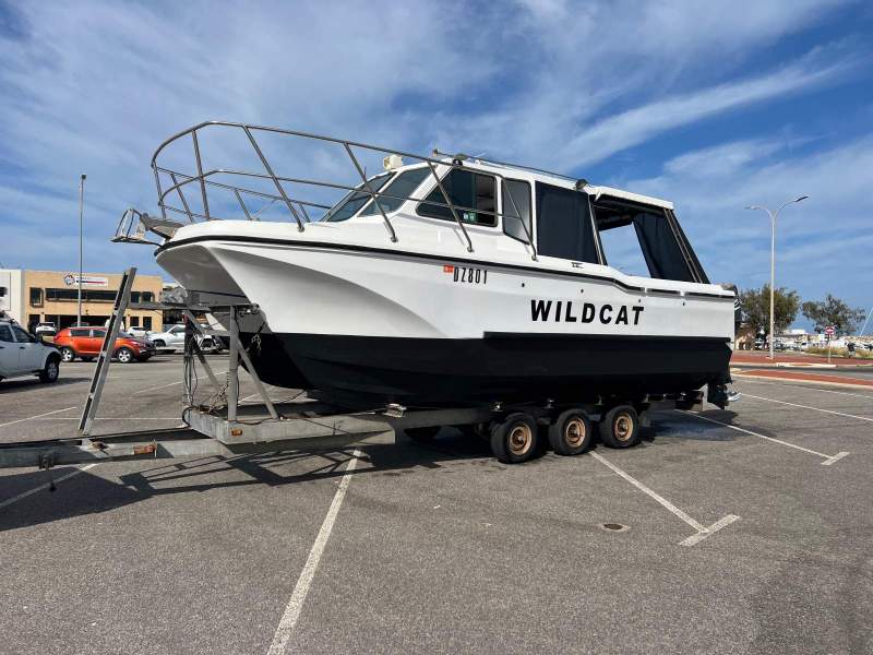 Cougar Cat 8.2