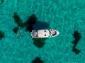 Boston Whaler 330 Vantage Dual Console Bowrider