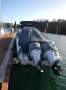 AM Key Largo 30