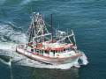 TS624 16.55m Trawler Sheree Star