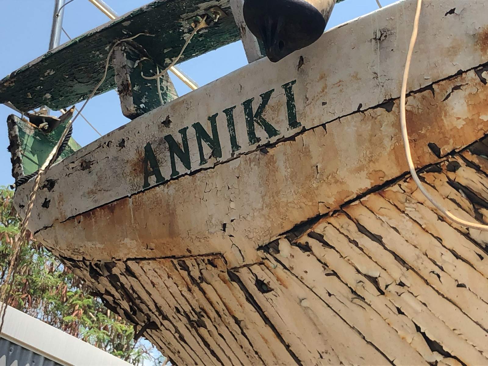 Pearl Lugger " ANNIKI " Movie Star Historic Live Darwin