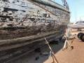 Pearl Lugger " ANNIKI " Movie Star Historic Live Darwin