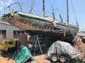 Pearl Lugger " ANNIKI " Movie Star Historic Live Darwin