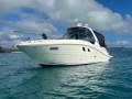 Sea Ray 350 Sundancer Luxury Sports Cruiser