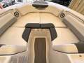 Robalo R207