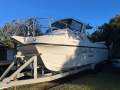 Leisurecat 8000 Sportsfisher 2C AMSA charter boat & Tow vehicle