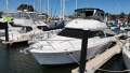 Meridian 381 Sedan Bridge - Your Gateway to Relaxed Cruising!