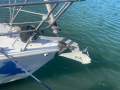 Mutiny 28
