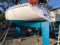 Mutiny 28